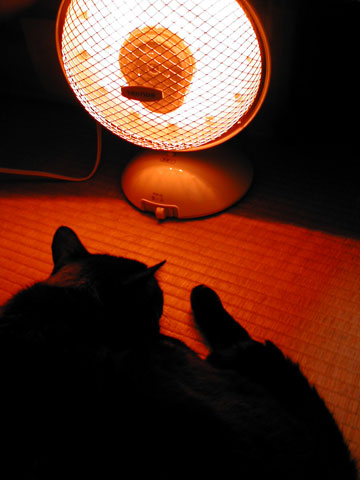 halogenheater.jpg