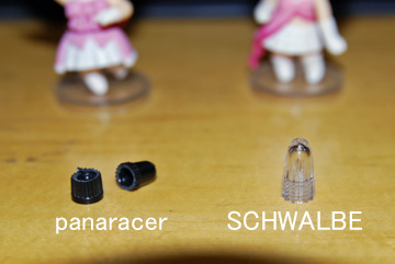 pana-schwalbe-tube1.jpg