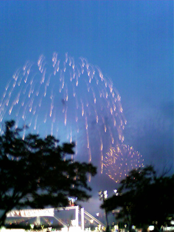 tokyo-wan-hanabi-miniitta.jpg