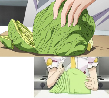 animas-cabbage.jpg