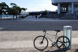 pacificoyokohama110110.jpg